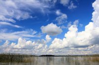 &quot;Rodosi lietus kaupiasi&quot; Orinta Labutytė